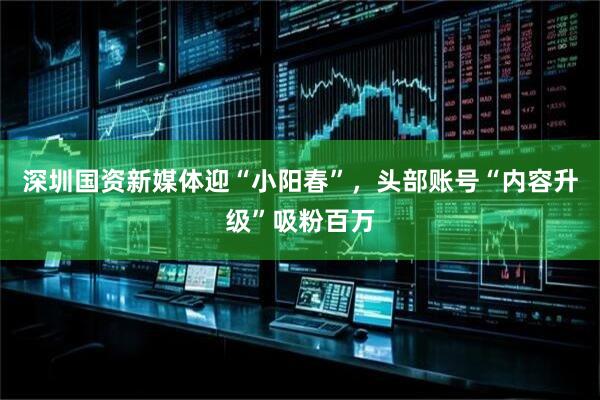 深圳国资新媒体迎“小阳春”，头部账号“内容升级”吸粉百万